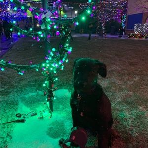 Meet your Posher, Eduardo